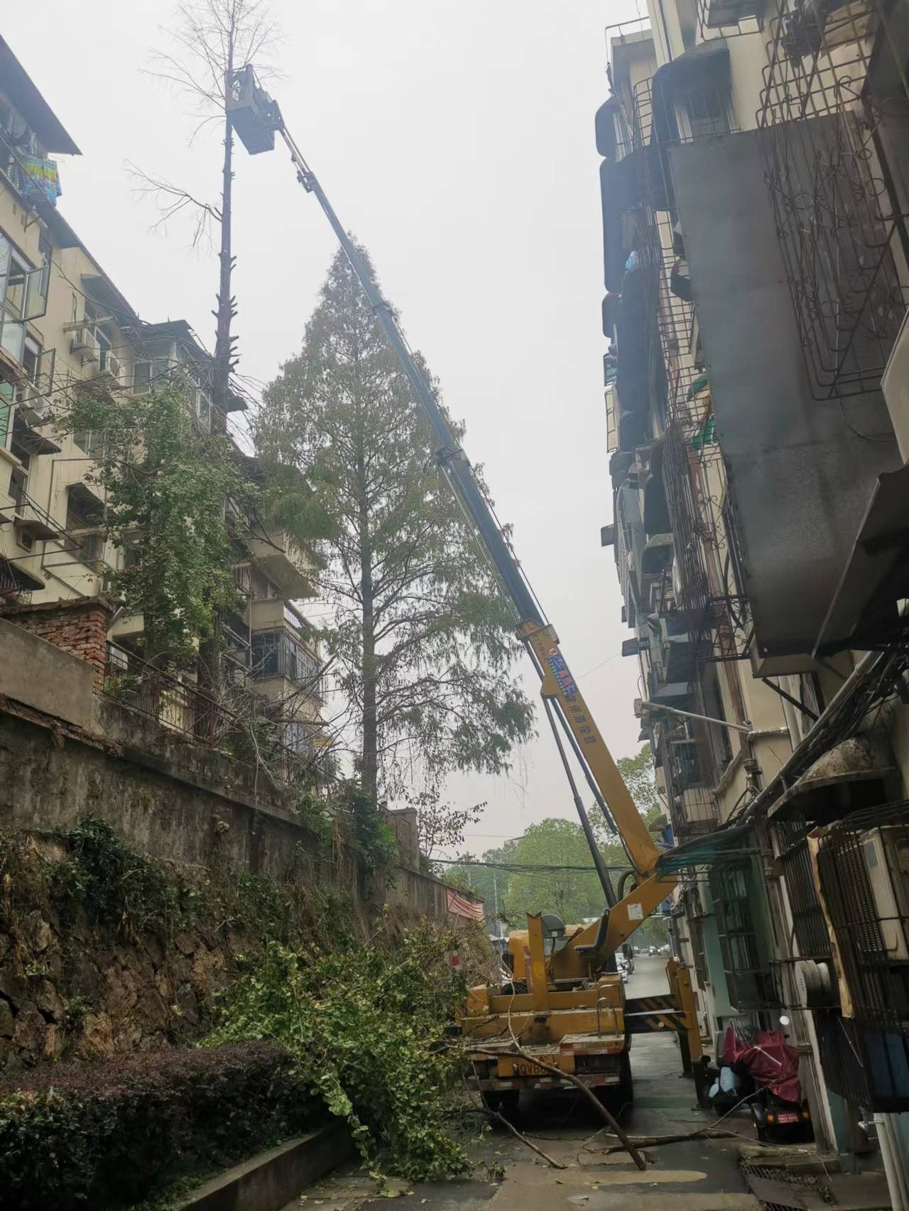 微信圖片_20221118153427.jpg