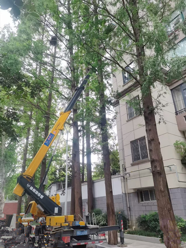 黃陂大量全新登高車(chē)出租，價(jià)格優(yōu)惠、出車(chē)快