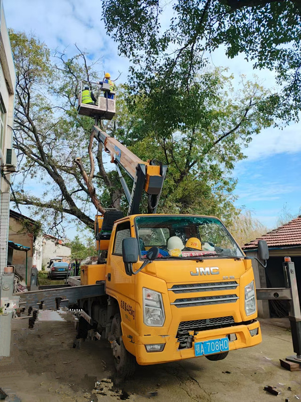 18米登高車(chē)載人修剪古樹(shù)施工現(xiàn)場(chǎng)